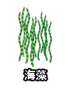 海藻