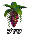 ブドウ