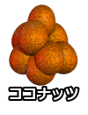 ココナッツ