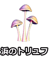 浜のトリュフ