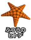ふつうのヒトデ