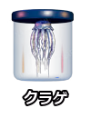 クラゲ