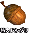 特大ドングリ